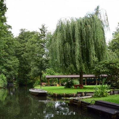 博鱼网页在线登录